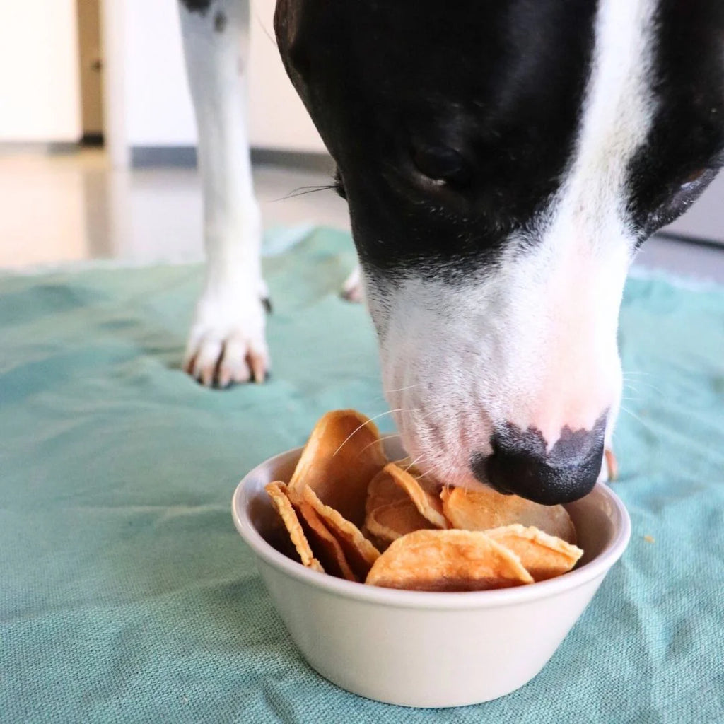 Turkey Tendon Chips 5oz