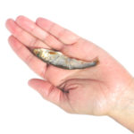 Baltic Sprat Fish Dog Treats 3oz