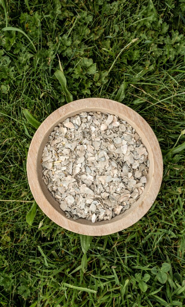 Oyster Shell by Scratch & Peck