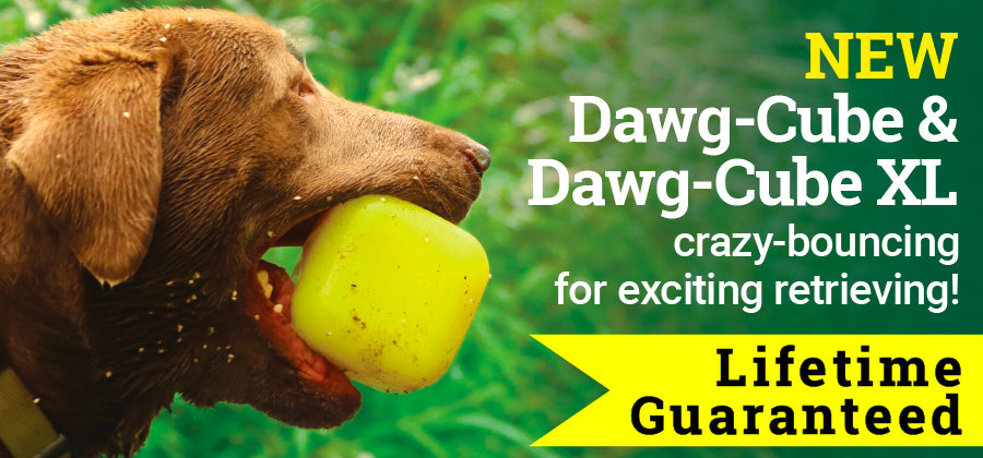 Ruff Dawg Cube