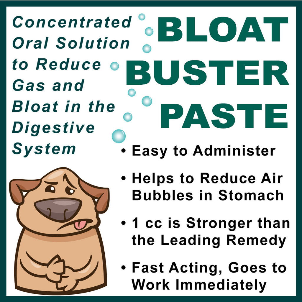 DogZymes Bloat Buster Paste