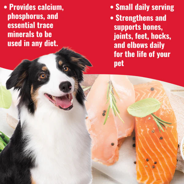 DogZymes Bone Builder