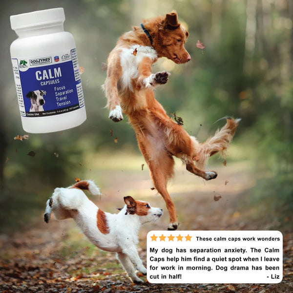 DogZymes Calm Caps 100ct