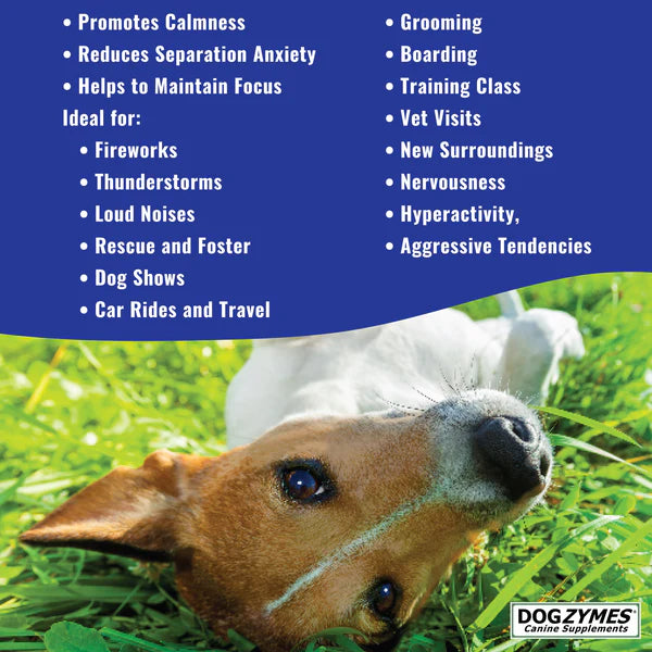 DogZymes Calming Paste