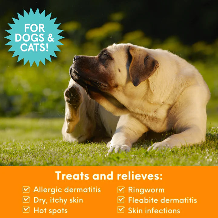 Nootie Antimicrobial Medicated Shampoo