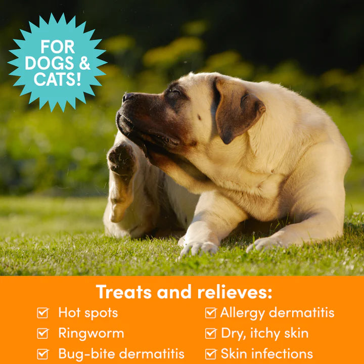 Nootie Medicated Pet Spray