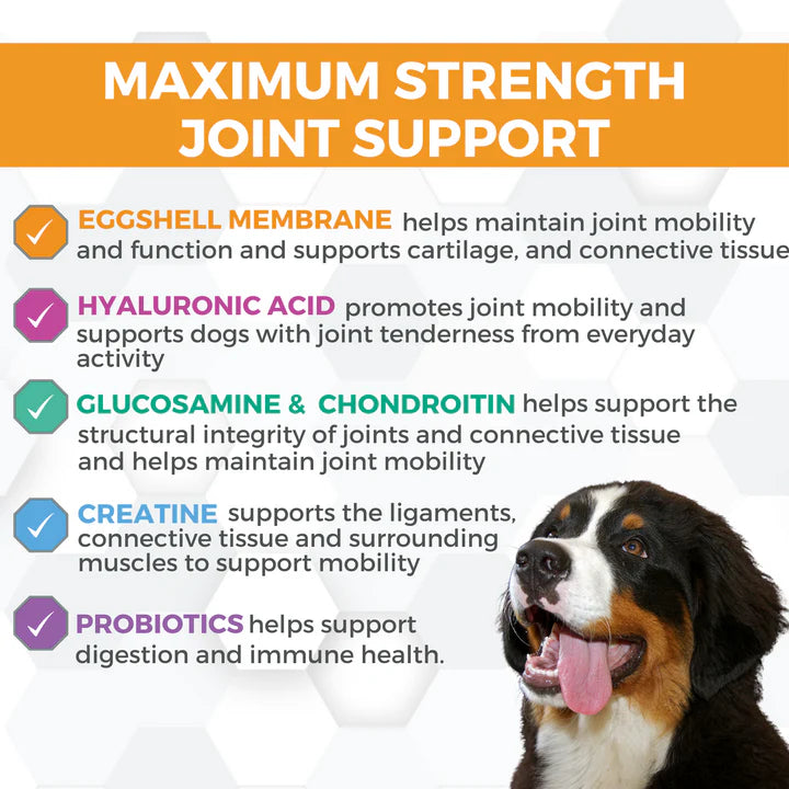 Nootie Progility Hip & Joint Max Soft Chew Supplement 60 ct