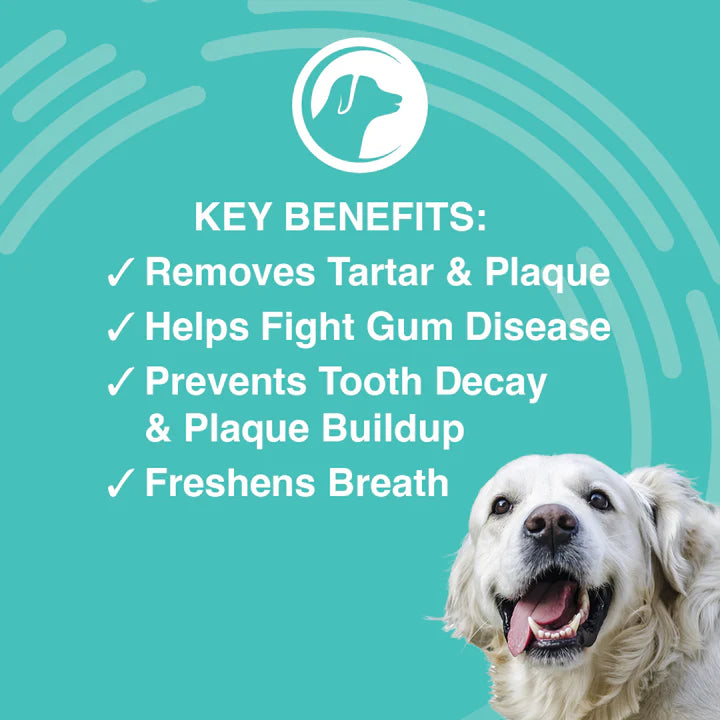 Nootie Medicated Antimicrobial Dental Gel for dogs