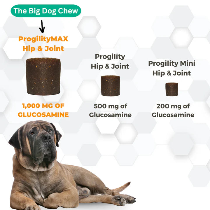 Nootie Progility Hip & Joint Max Soft Chew Supplement 60 ct