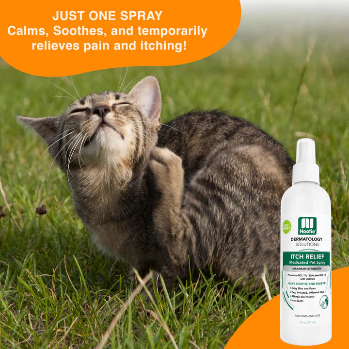 Nootie Anti-Itch Medicated Spray