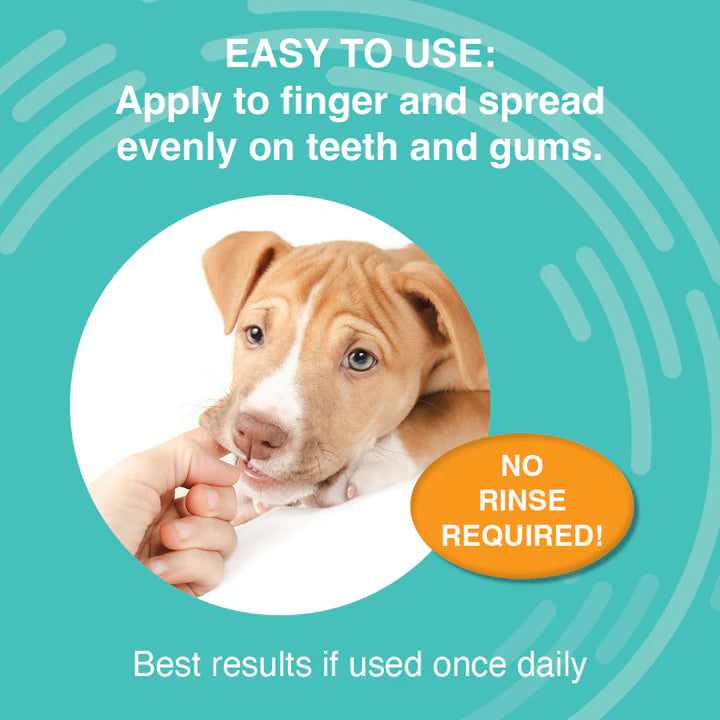 Nootie Medicated Antimicrobial Dental Gel for dogs
