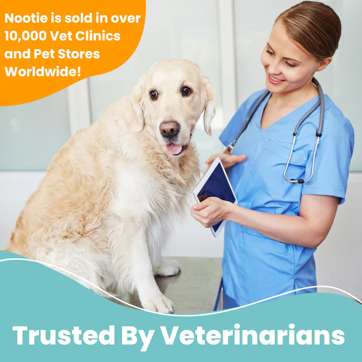 Nootie Antimicrobial Medicated Shampoo