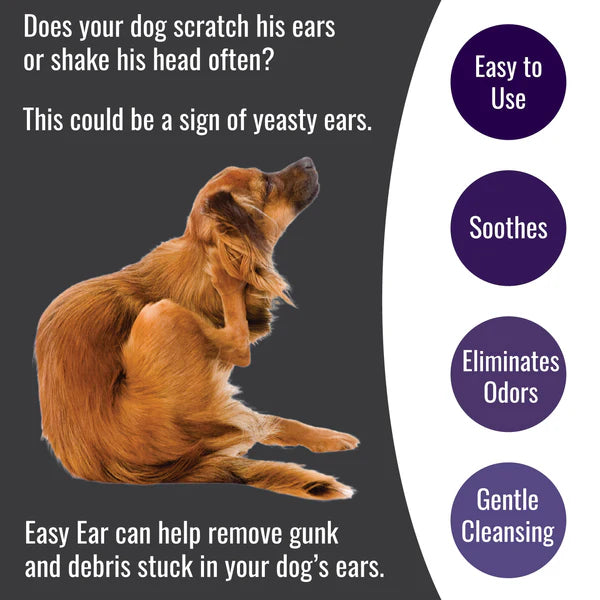 Nature's Farmacy Easy Ear Cleaner (DogZymes)
