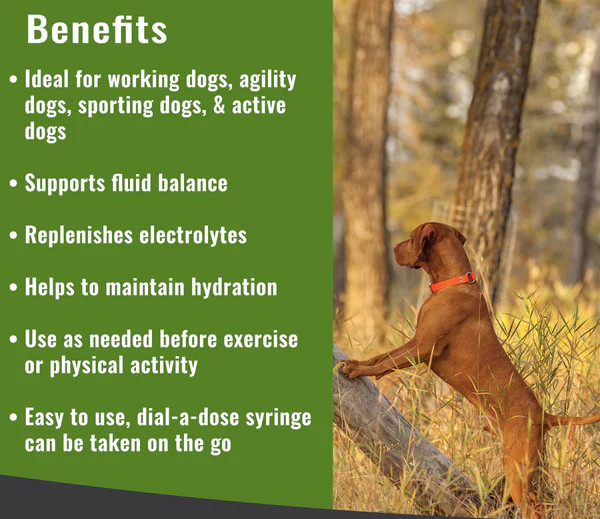 DogZymes Electrolyte Paste