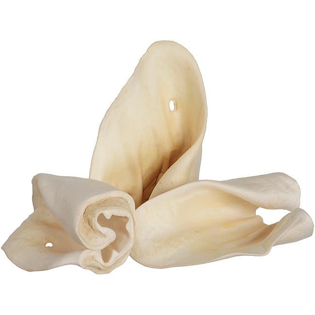 Red Barn Cow Ear