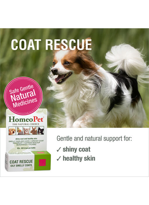 HomeoPet Coat Rescue (formerly Skin & Seborrhea)