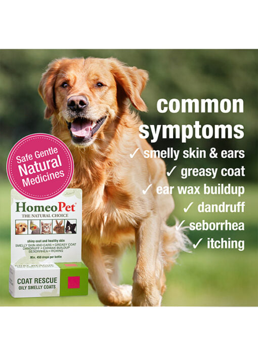 HomeoPet Coat Rescue (formerly Skin & Seborrhea)