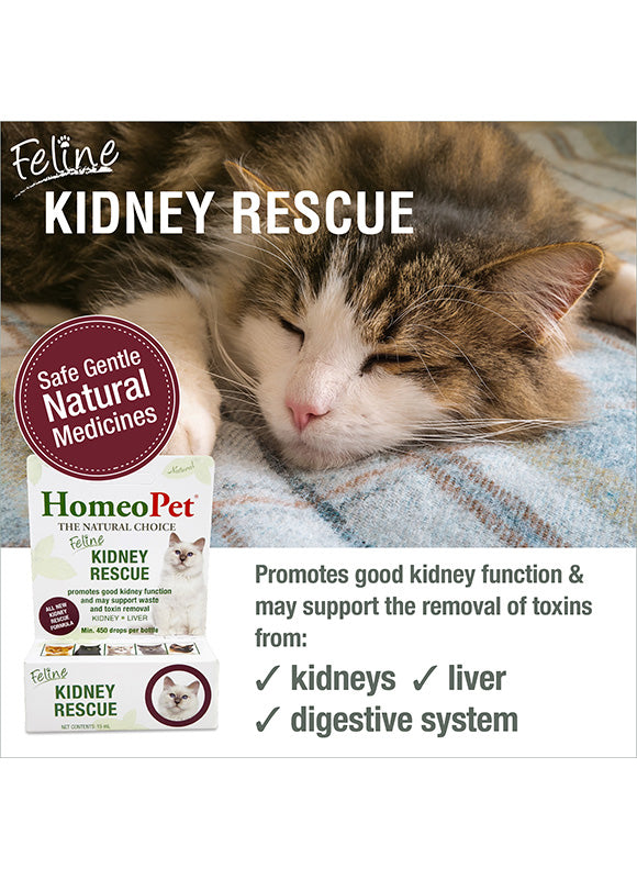 HomeoPet Feline Kidney Rescue