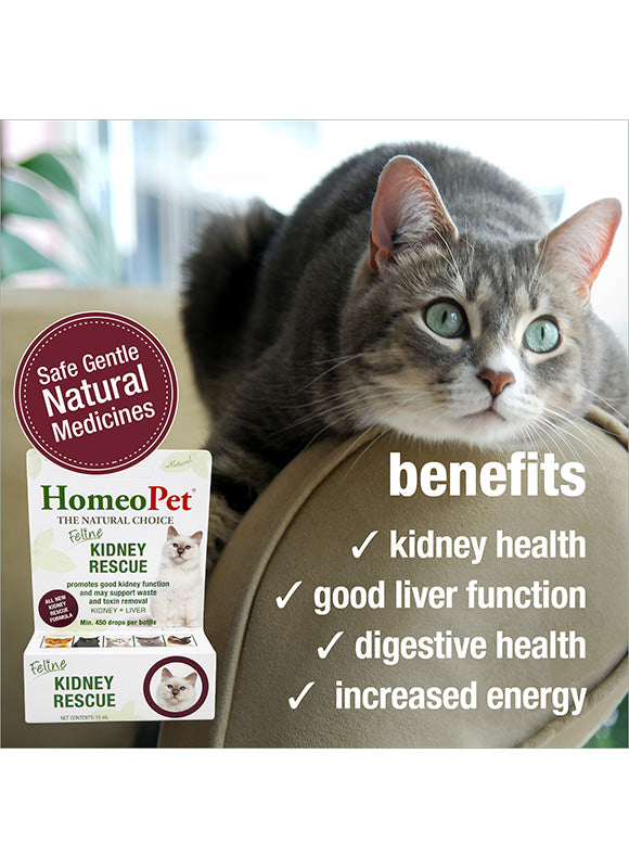 HomeoPet Feline Kidney Rescue