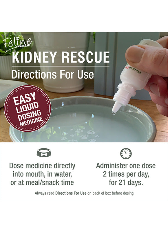 HomeoPet Feline Kidney Rescue