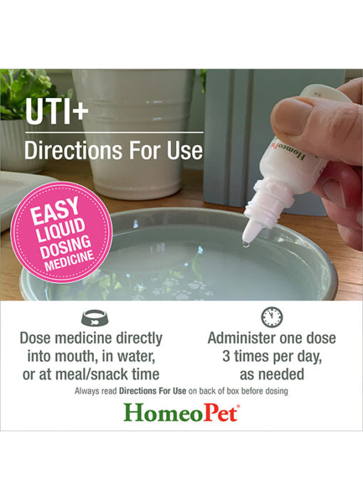 HomeoPet UTI+