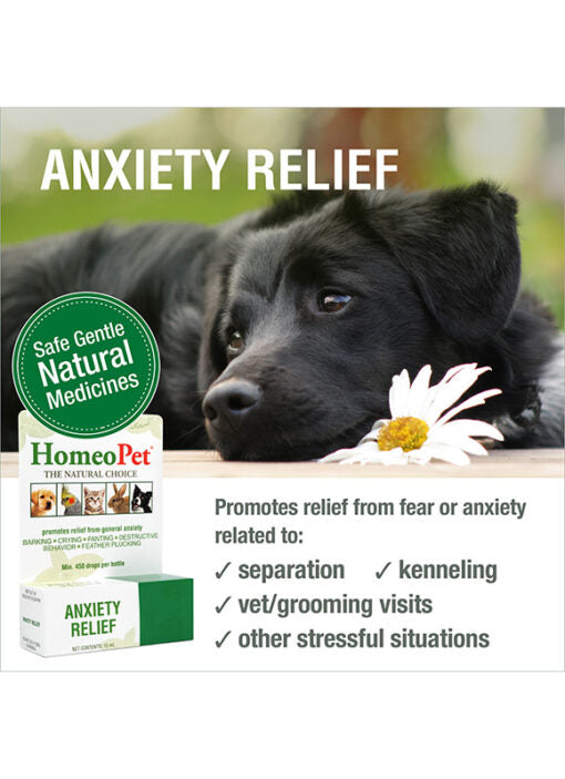 HomeoPet Anxiety