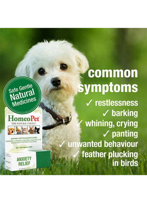HomeoPet Anxiety
