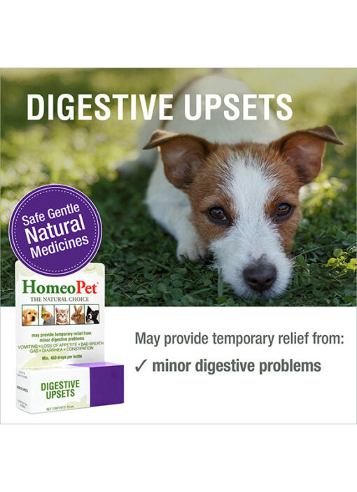 HomeoPet Digestive Upsets