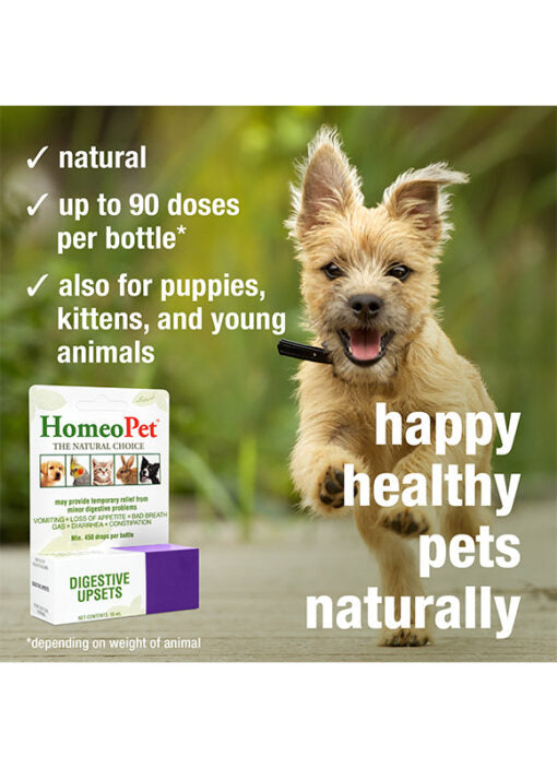 HomeoPet Digestive Upsets