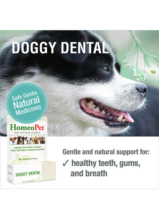 HomeoPet Doggy Dental