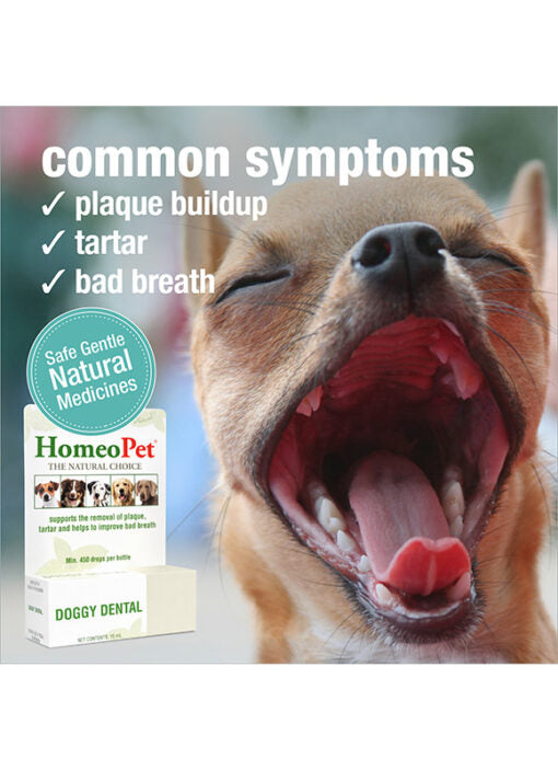 HomeoPet Doggy Dental