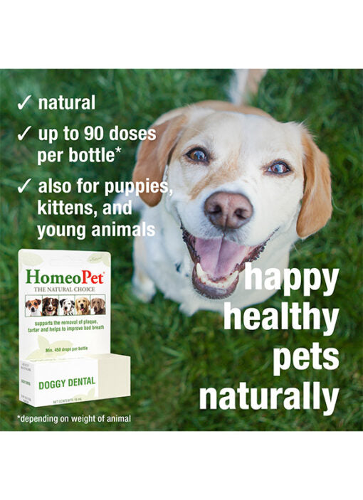 HomeoPet Doggy Dental