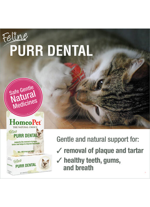 HomeoPet Feline Purr Dental
