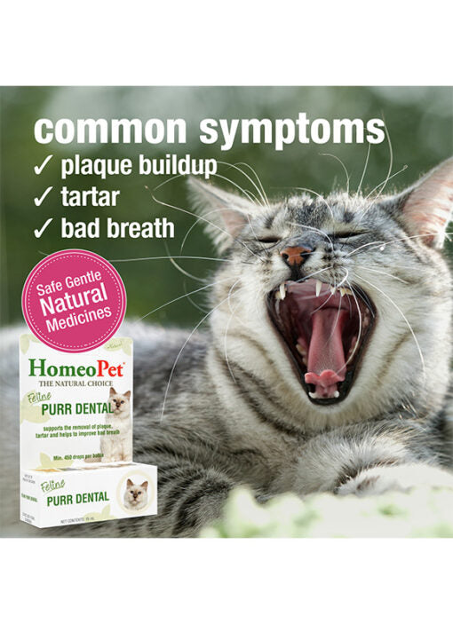 HomeoPet Feline Purr Dental
