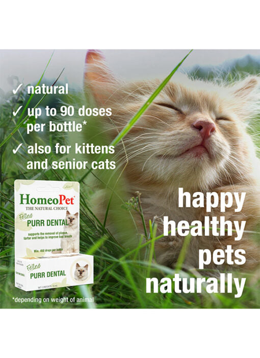 HomeoPet Feline Purr Dental