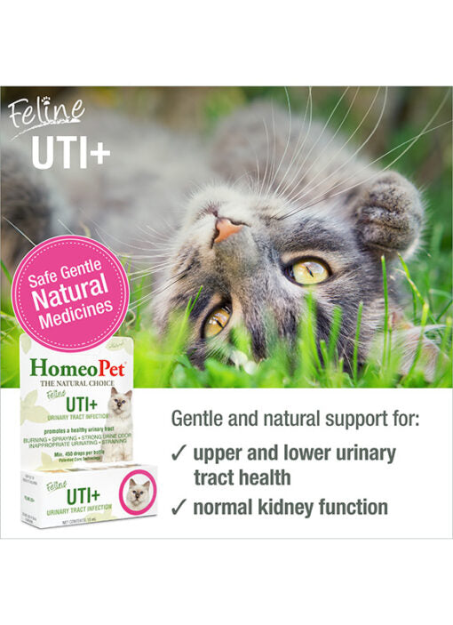 HomeoPet Feline UTI+