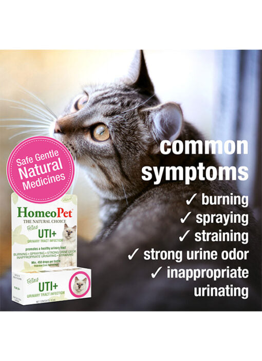 HomeoPet Feline UTI+