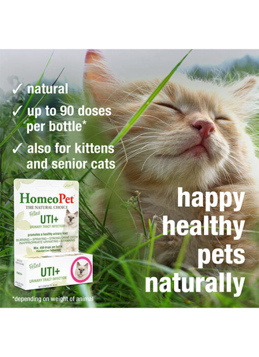 HomeoPet Feline UTI+