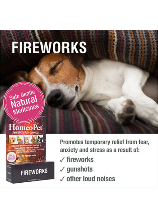 HomeoPet Fireworks (Anxiety TFLN )