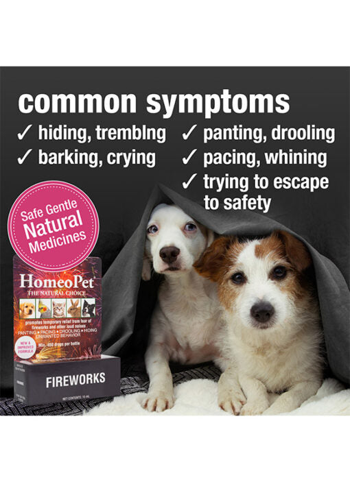 HomeoPet Fireworks (Anxiety TFLN )