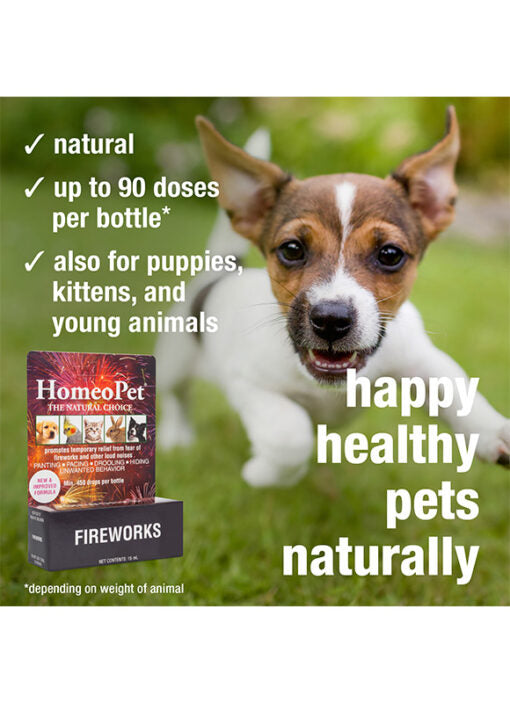 HomeoPet Fireworks (Anxiety TFLN )