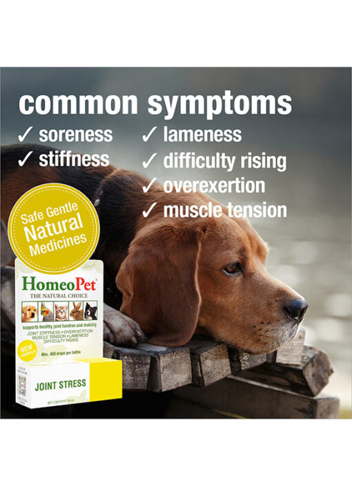 HomeoPet Joint Stress