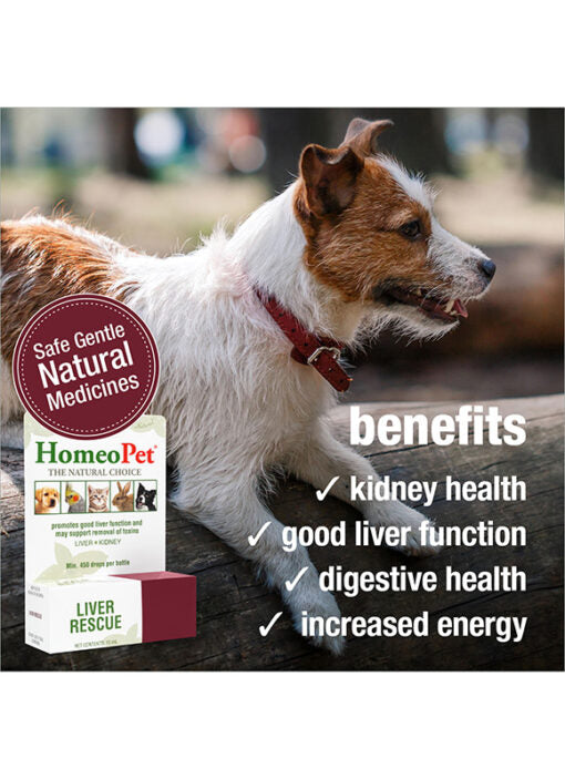 HomeoPet Liver Rescue
