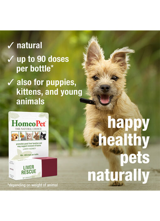 HomeoPet Liver Rescue