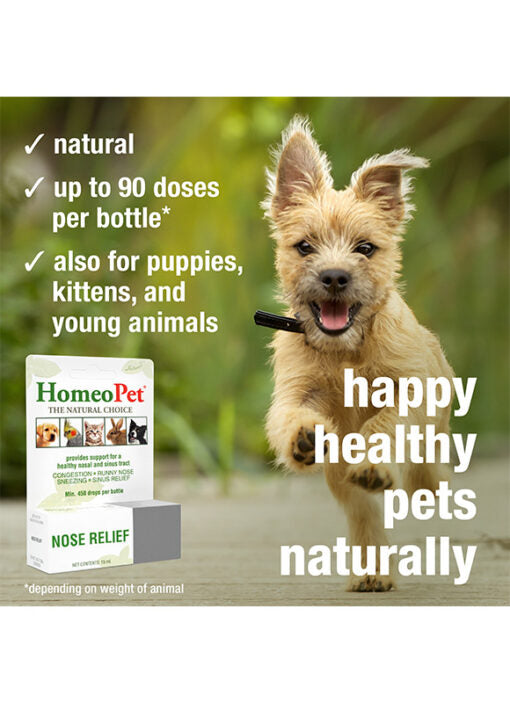 HomeoPet Nose Relief