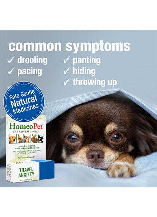 HomeoPet Anxiety Travel