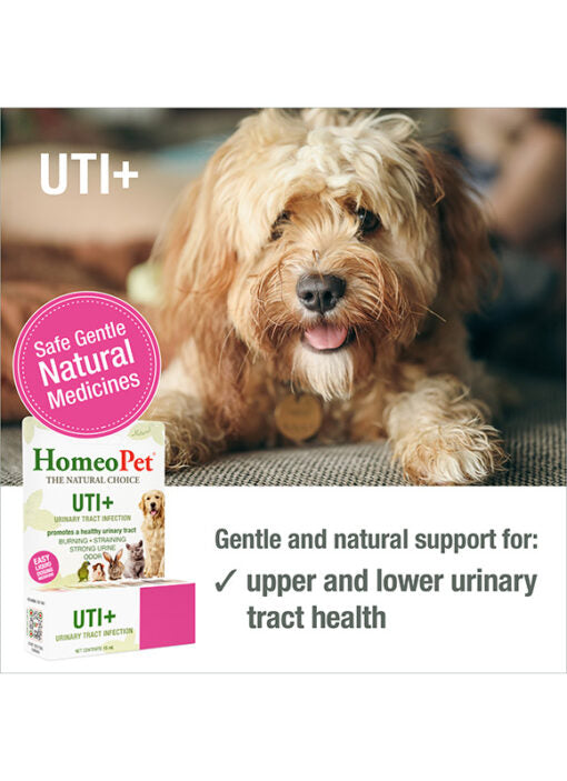 HomeoPet UTI+