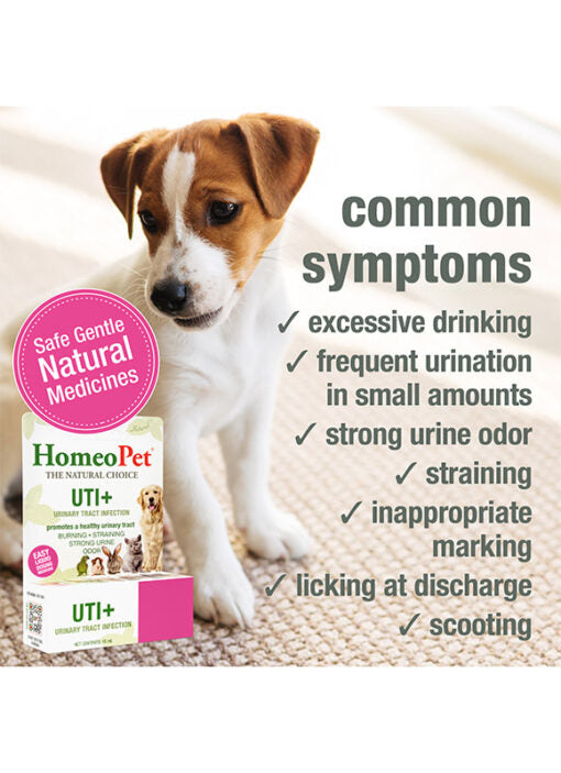 HomeoPet UTI+