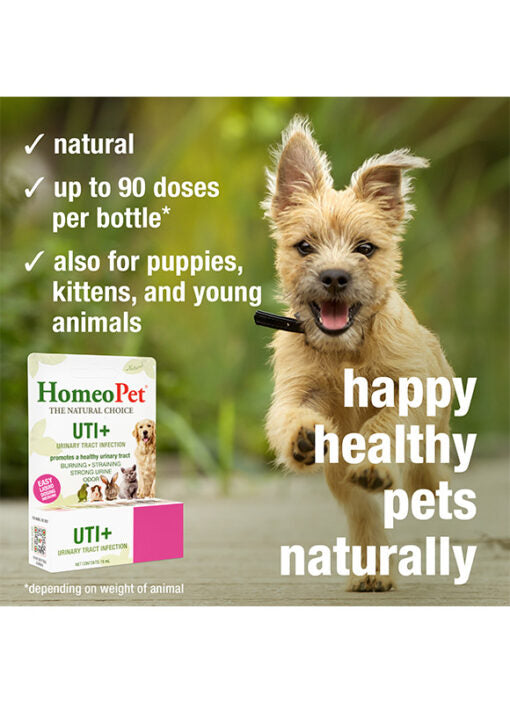 HomeoPet UTI+