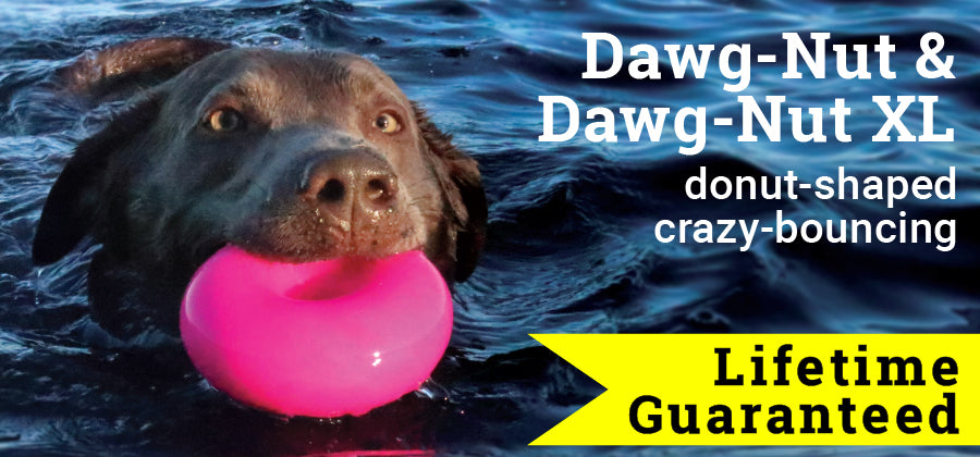 Dawg-Nut